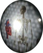 The Massa Virus Logo